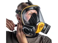 Dewalt Helmaske inklusiv P3 filter Str. M