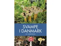 Svampe i Danmark   Josephine Bacon   Språk: Dansk