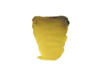 Rembrandt Watercolour Tube Azomethine Green Yellow 296