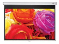 Optoma DS-1109PMG+, Manuell, 2,77 m (109), 2,34 m, 146,3 cm, 16:10, Svart, Vit