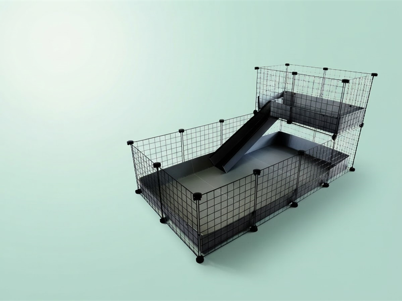 Pet Brands