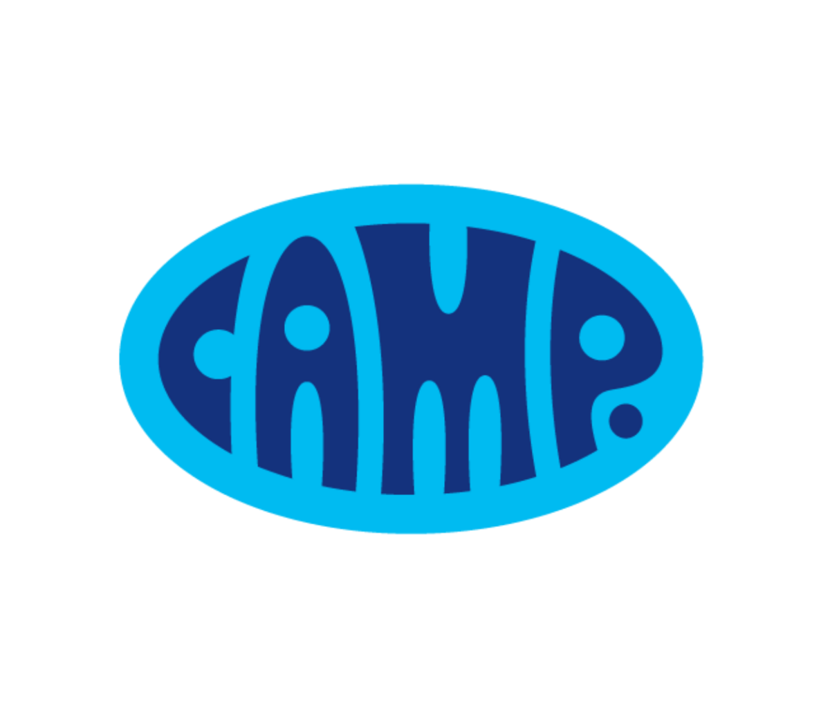 Camp