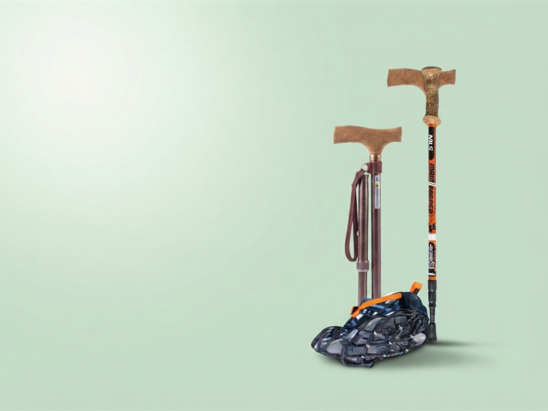 Canes & walking sticks