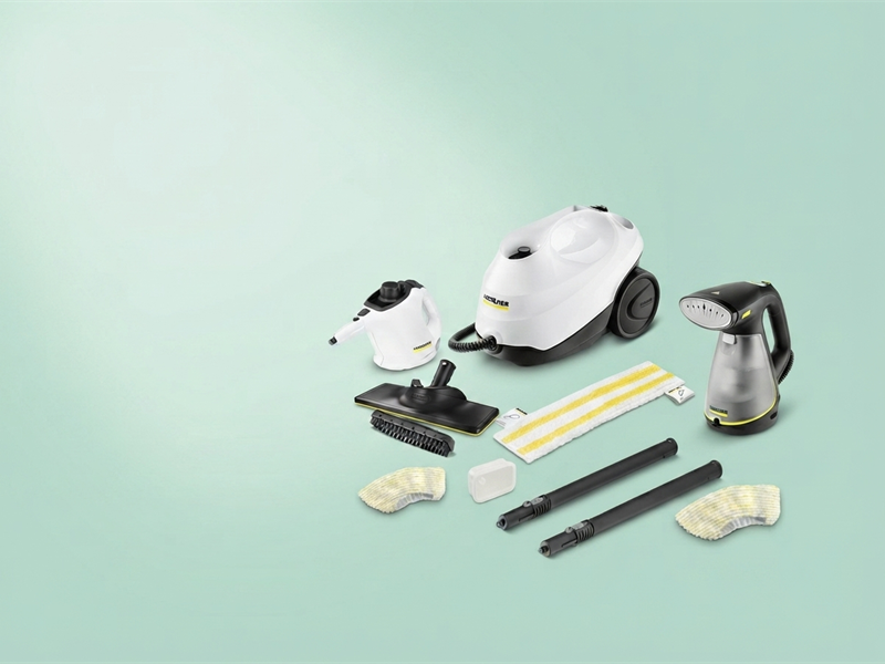 Steam Cleaners