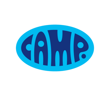 Camp