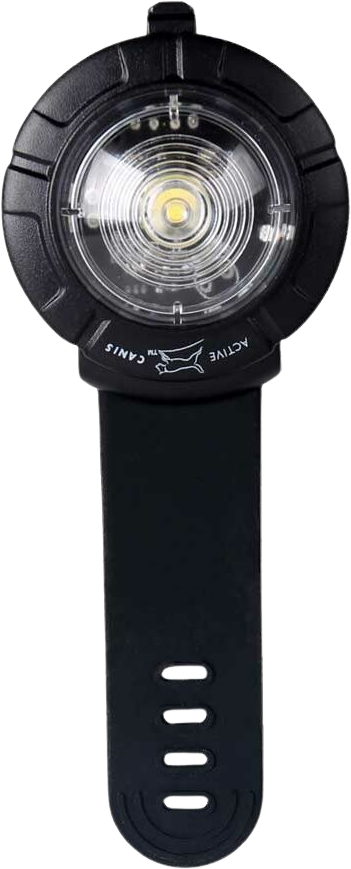 Active Canis Safety lights