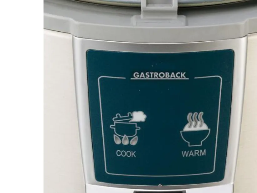 Gastroback Design 42507 1 450 W liter Risgryde - - 
