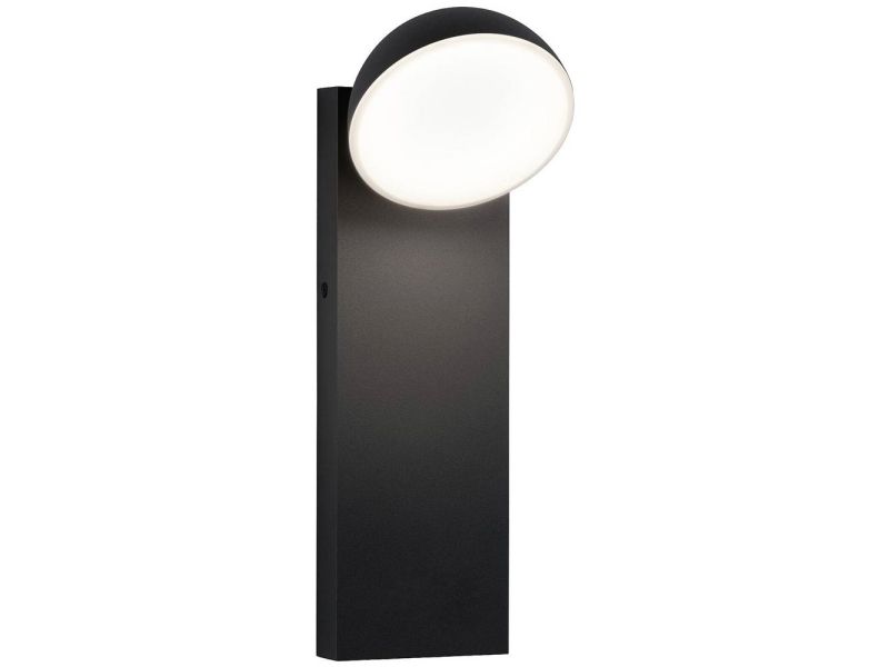 Paulmann Wand Puka 94738 Außenwandleuchte Led (Rgb) 8,5 W Anthrazit