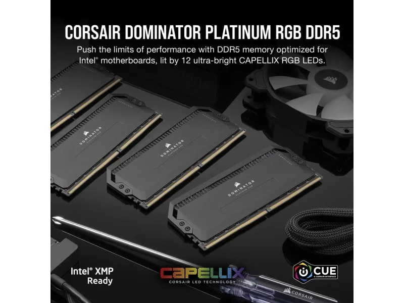CORSAIR Dominator Platinum RGB - DDR5 - sett - 64 GB: 2 x 32 GB