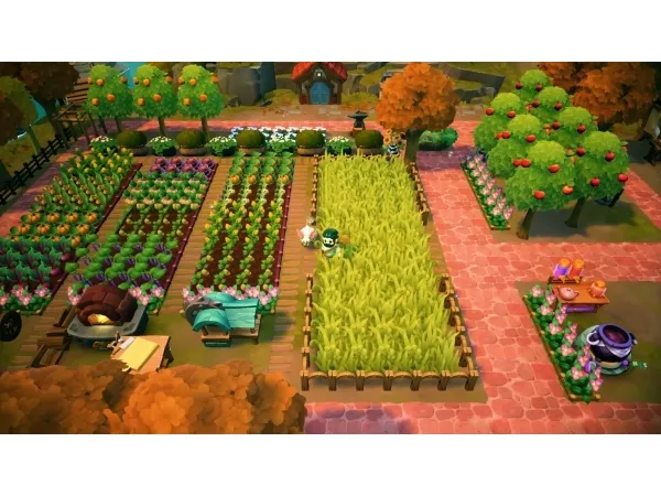 Nintendo Switch Fae Farm