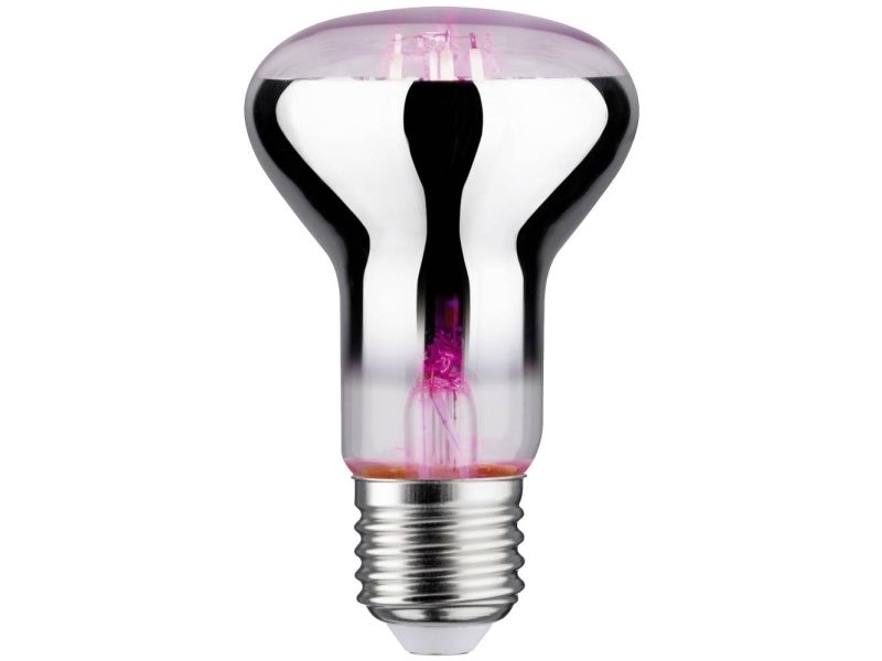 Paulmann Led-Pflanzenleuchte Wachstum Paulmann 230 V E27 6,5 W Amber 1 Stück